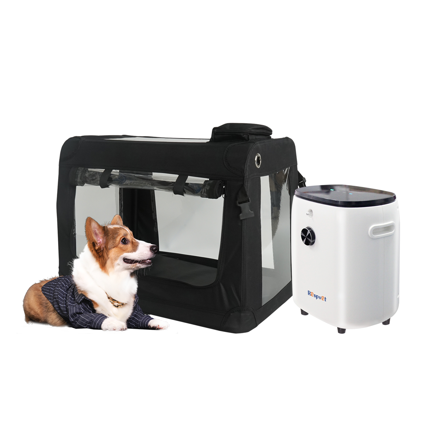 Bester Veterinärkonzentrator i – Medical Lab Assistant Bewertung und Preis